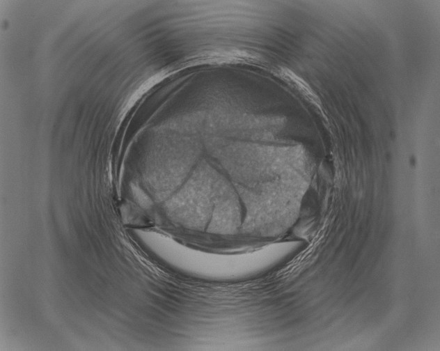 X0000066951226200604211807