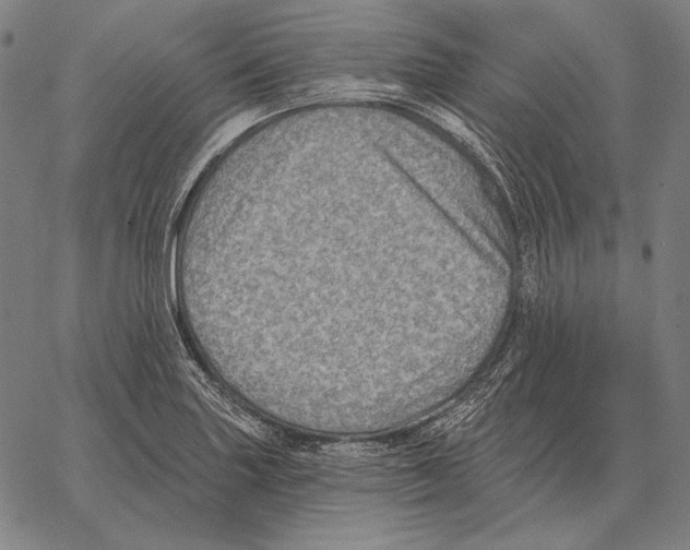 X0000066951227200604211807