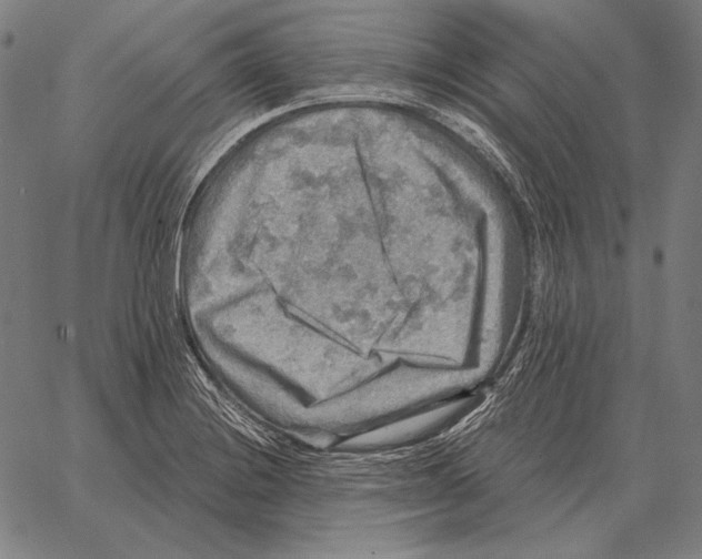 X0000066951228200604211807