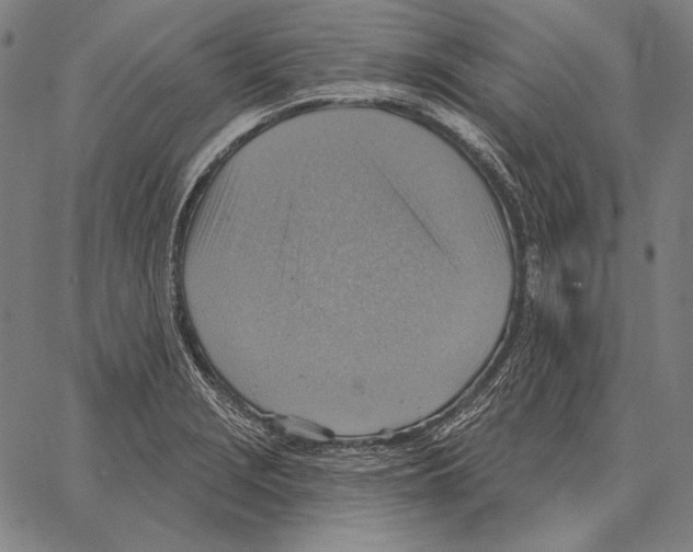 X0000066951229200604211807