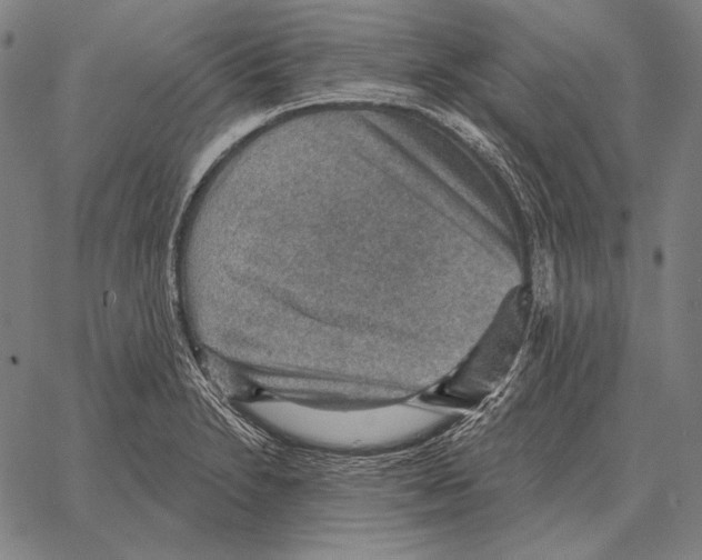 X0000066951230200604211807