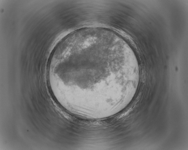 X0000066951231200604211807