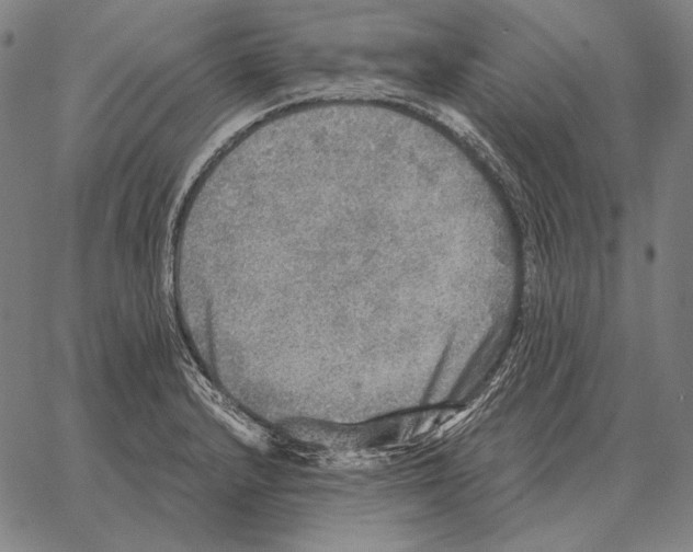 X0000066951232200604211807