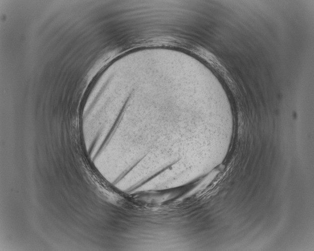 X0000066951234200604211807