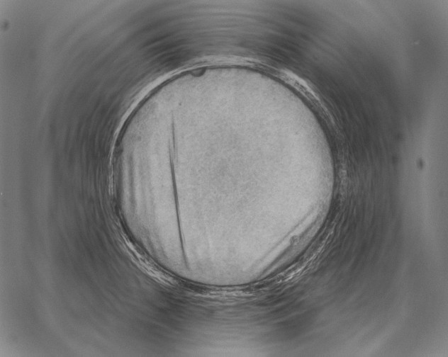 X0000066951236200604211807