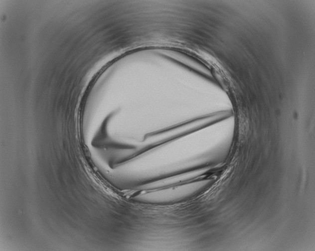 X0000066951238200604211807