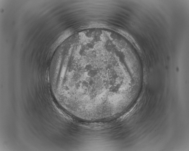 X0000066951241200604211807