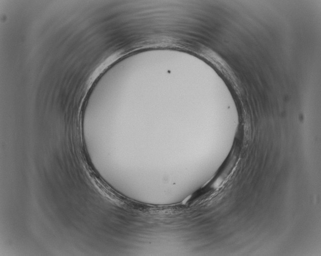 X0000066951242200604211807