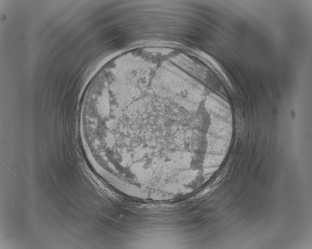 X0000066951244200604211807