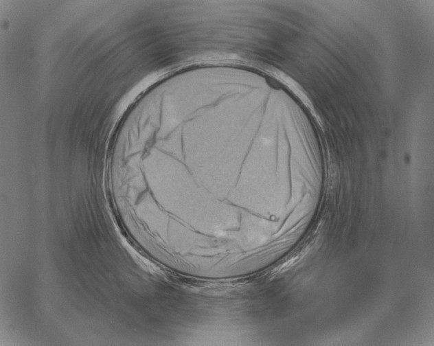 X0000066951245200604211807