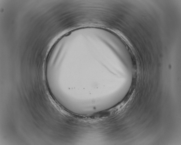 X0000066951246200604211807