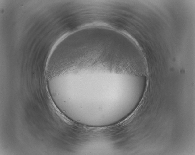 X0000066951248200604211807