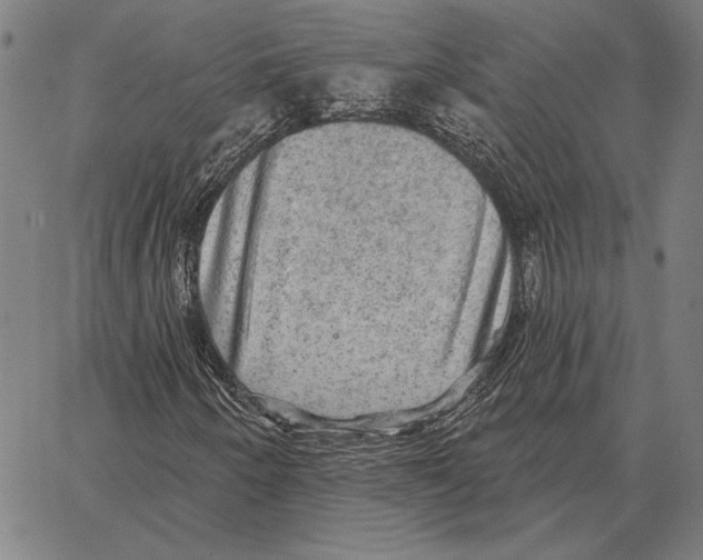 X0000066951250200604211806