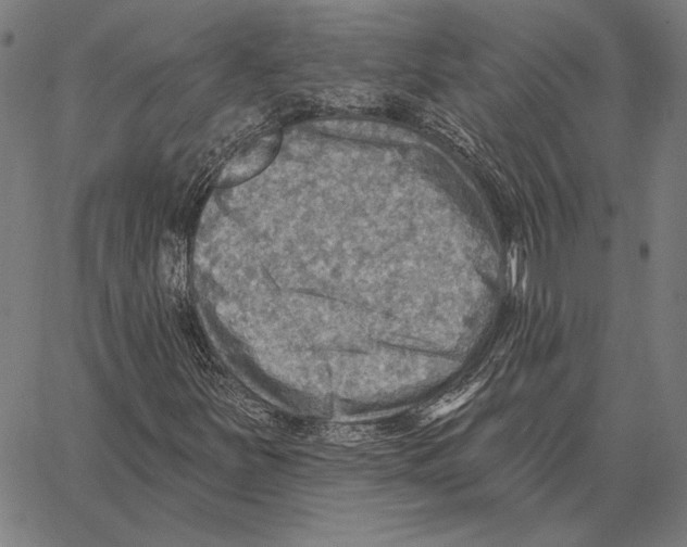 X0000066951251200604211806