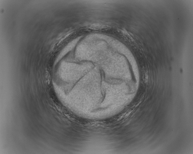 X0000066951253200604211806