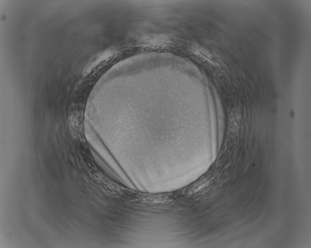 X0000066951254200604211806