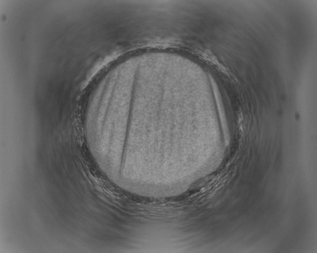 X0000066951256200604211806