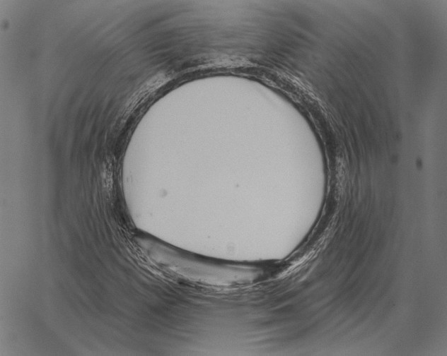 X0000066951257200604211806