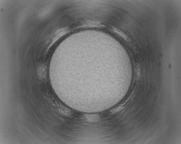 X0000066951258200604211806