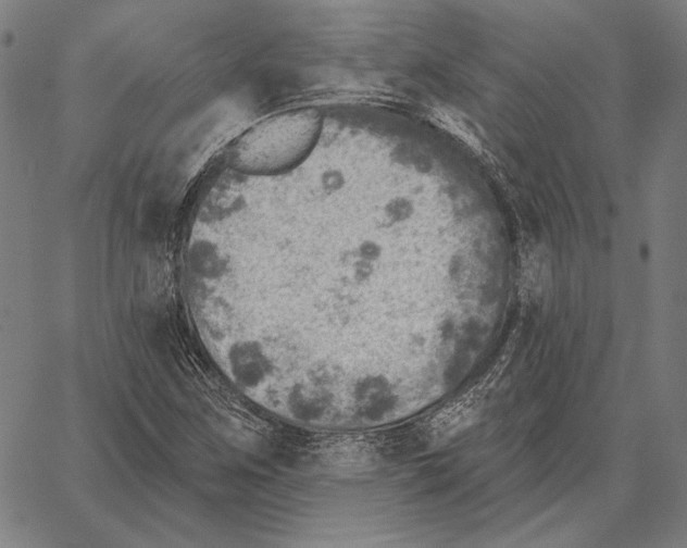 X0000066951259200604211806