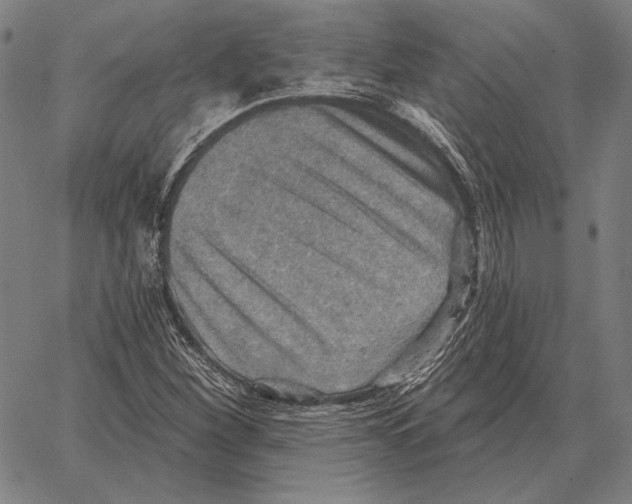 X0000066951260200604211806