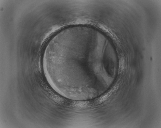 X0000066951262200604211806