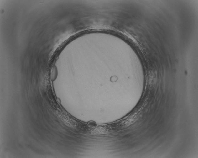 X0000066951263200604211806