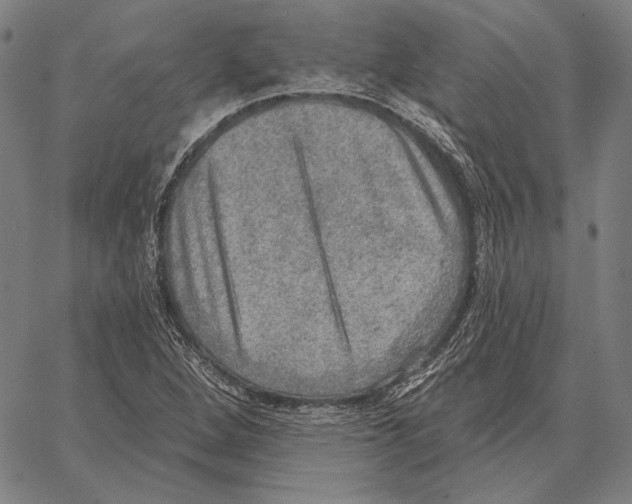 X0000066951264200604211806