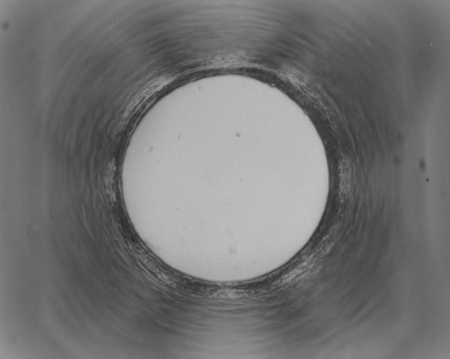 X0000066951265200604211806