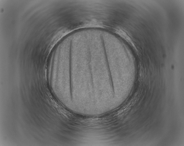 X0000066951268200604211806