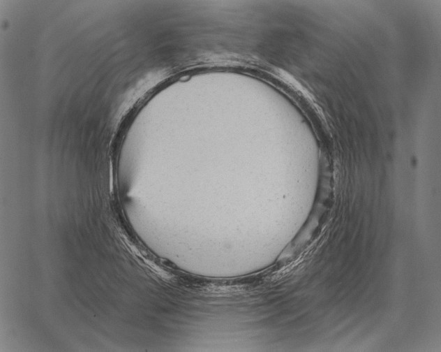 X0000066951269200604211806