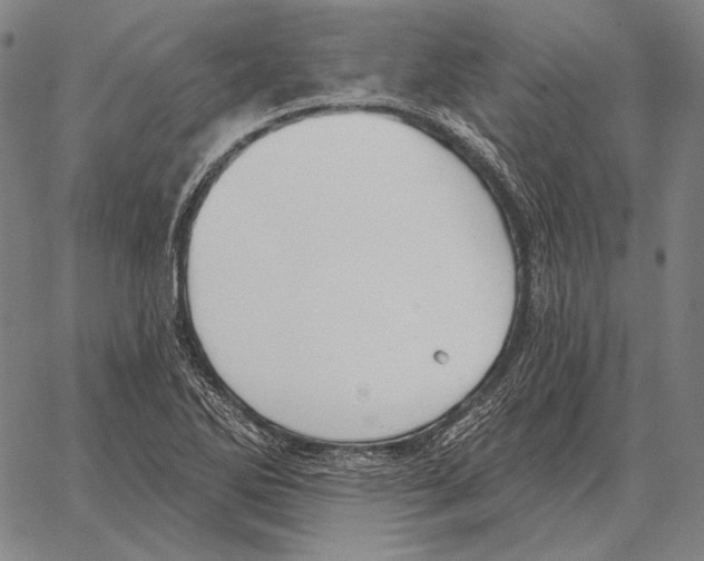 X0000066951270200604211806