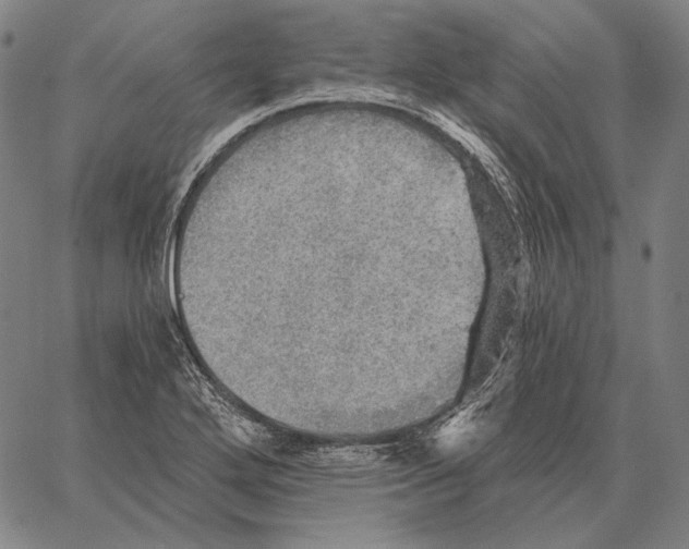 X0000066951272200604211806