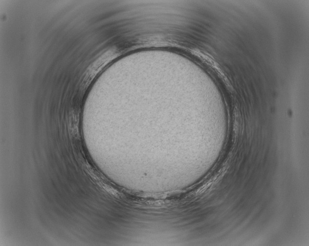 X0000066951273200604211806