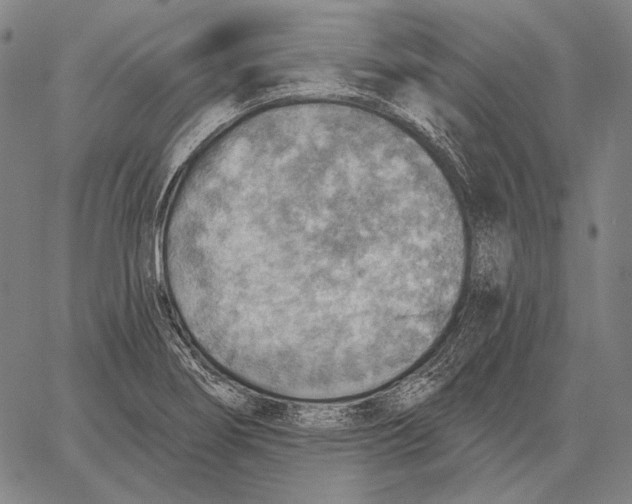 X0000066951274200604211806