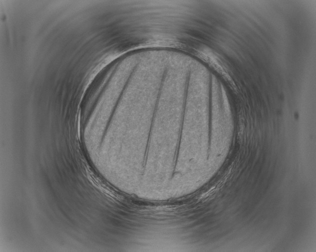 X0000066951276200604211806