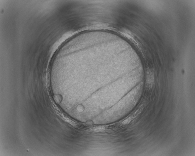 X0000066951278200604211806