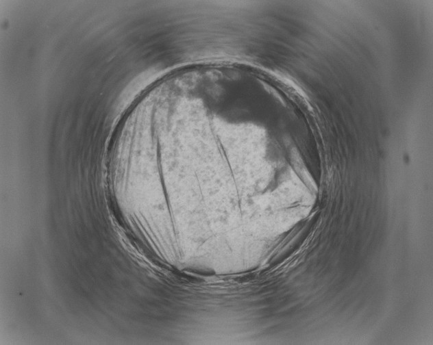 X0000066951279200604211806