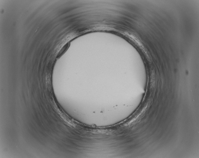 X0000066951281200604211806