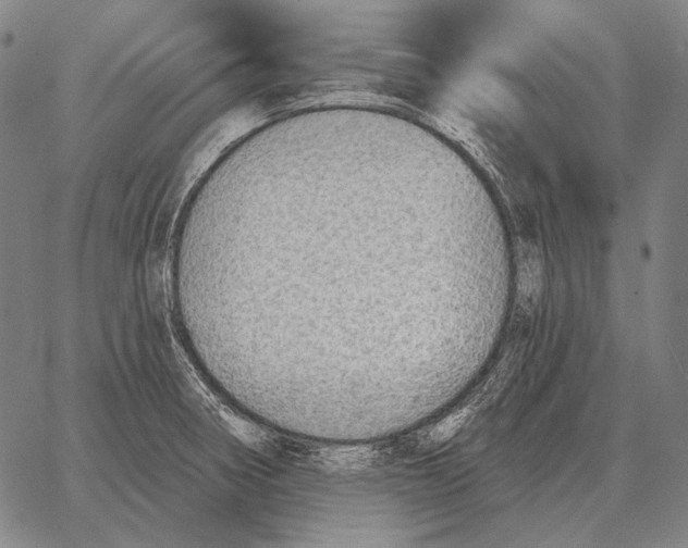 X0000066951282200604211806