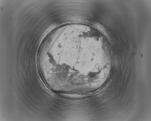 X0000066951283200604211806