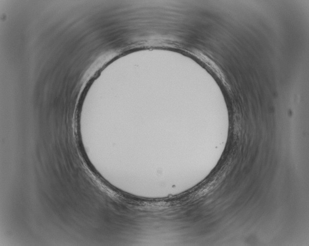 X0000066951285200604211806