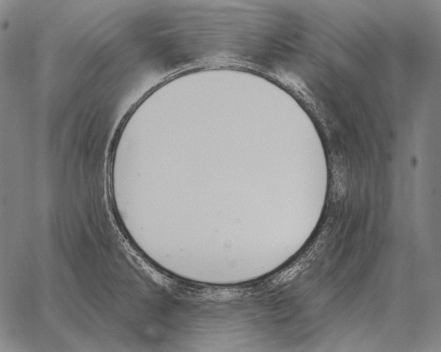 X0000066951286200604211806