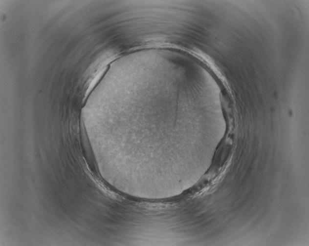 X0000066951289200604211806