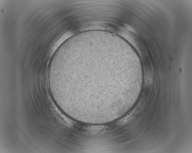 X0000066951290200604211806