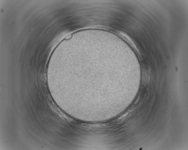 X0000066951292200604211806