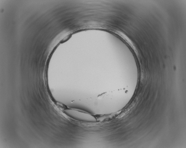 X0000066951293200604211805