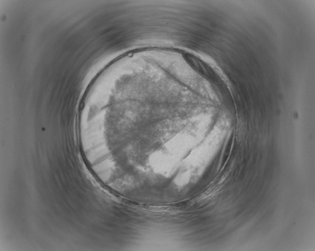 X0000066951295200604211805