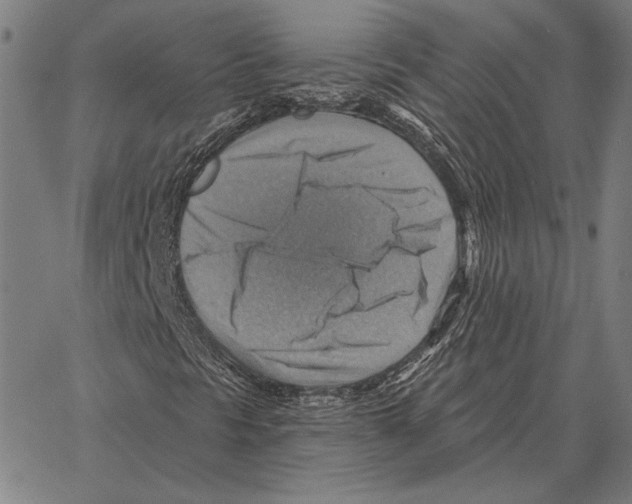 X0000066951297200604211805