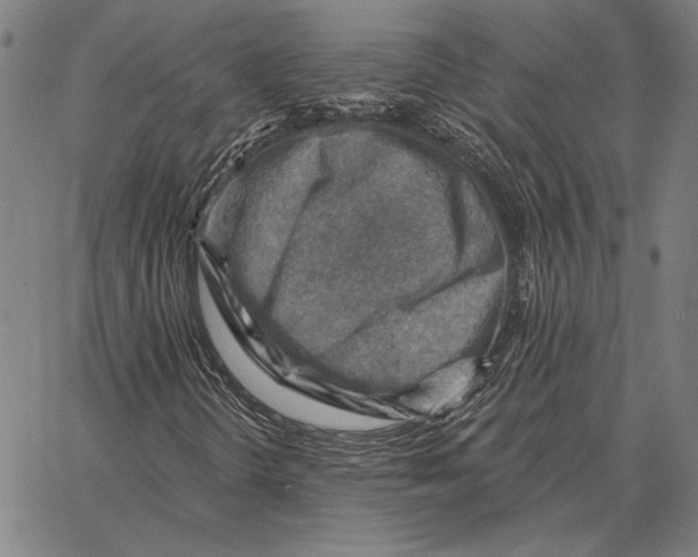 X0000066951298200604211805